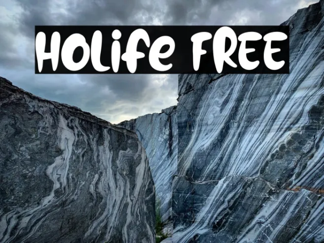 Holife FREE Example 2