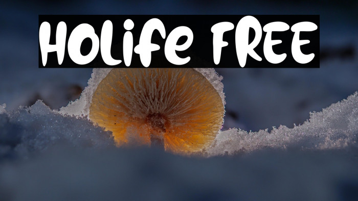 Holife FREE Example 3