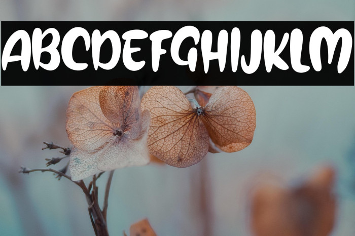 HolifeFREE Example 1