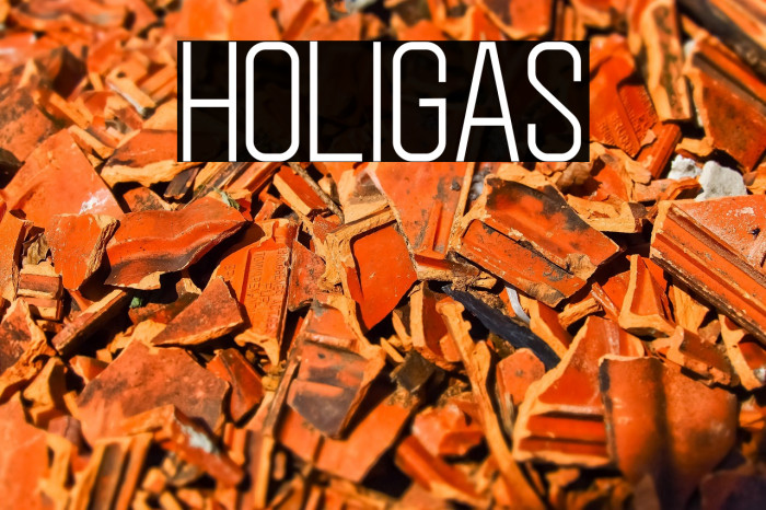 Holigas Example 1