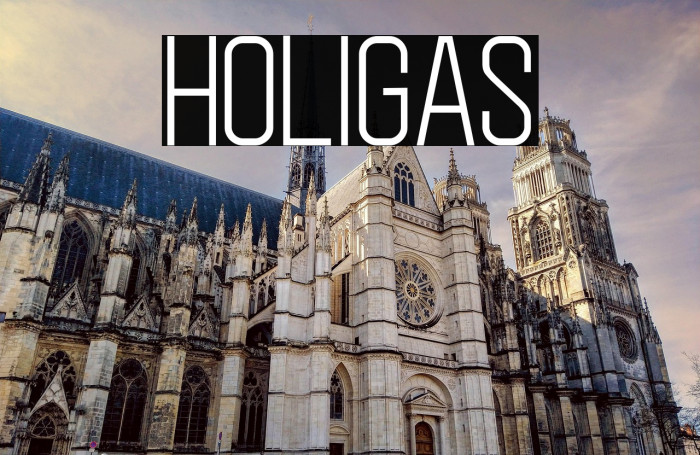 Holigas Example 2