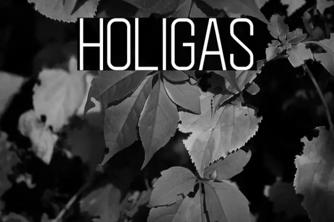 Holigas Шрифта examples
