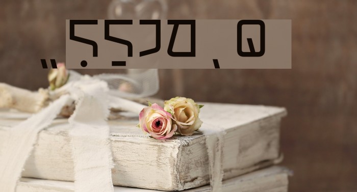 Holiland Lux Example 1