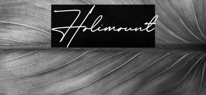 Holimount Font examples