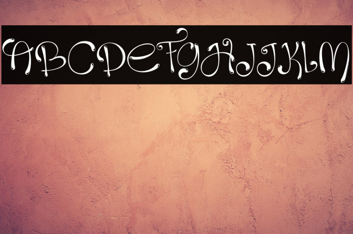 Holin Jusi Regular Example 1