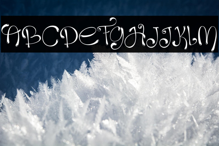 Holin Jusi Regular Example 2