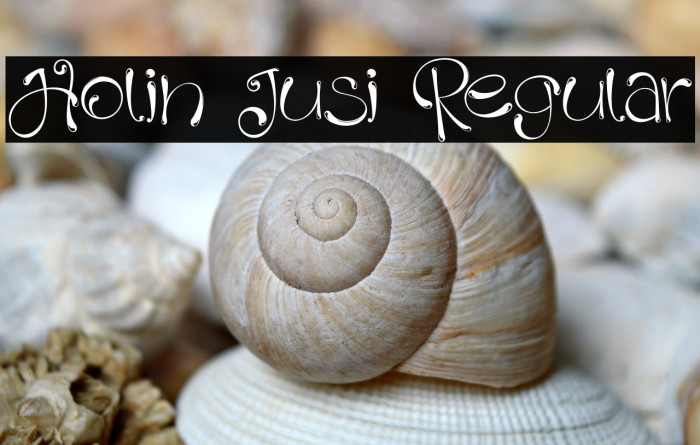 Holin Jusi Regular Example 1