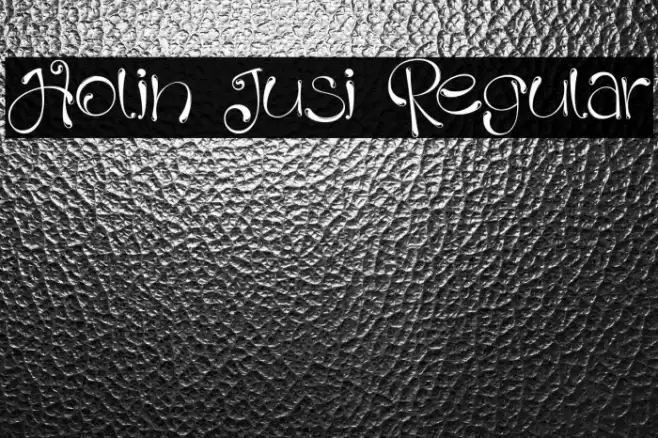 Holin Jusi Regular Font examples