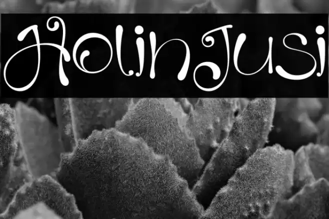 HolinJusi Font examples