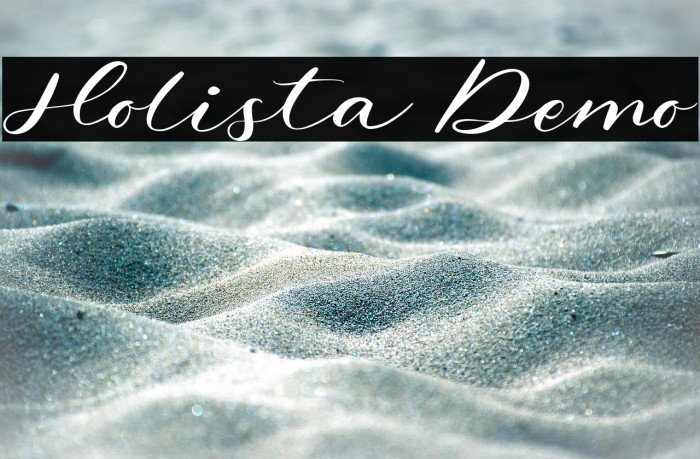 Holista Demo Example 1