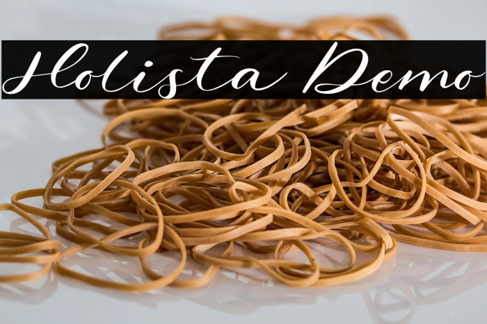 Holista Demo Example 3