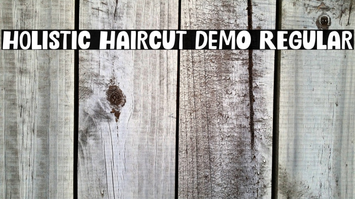 Holistic Haircut DEMO Regular Example 1