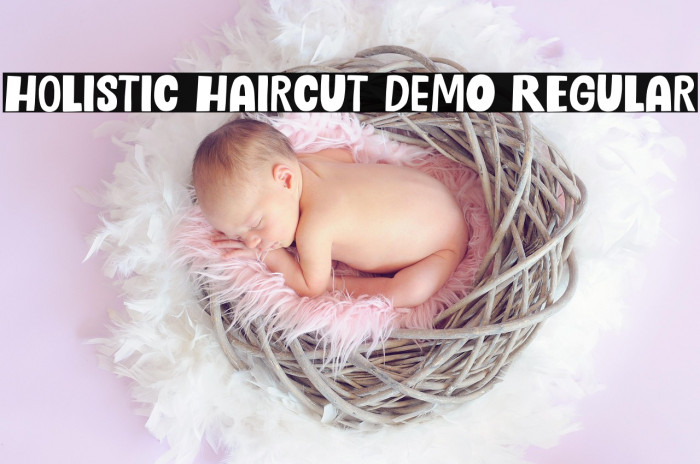 Holistic Haircut DEMO Regular Example 2