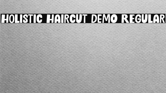 Holistic Haircut DEMO Regular Example 3