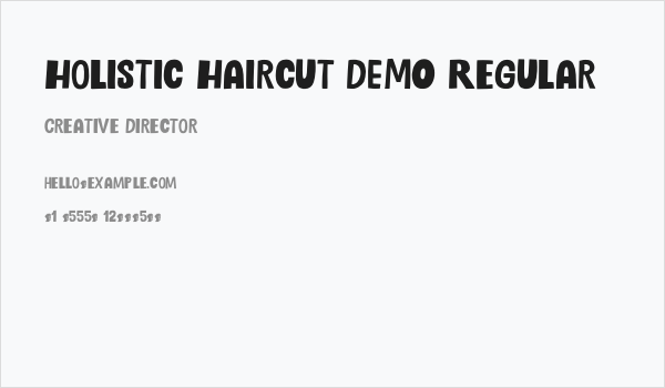 Holistic Haircut DEMO Regular Business Card