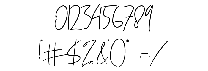 Holistic Signature Font OTHER CHARS