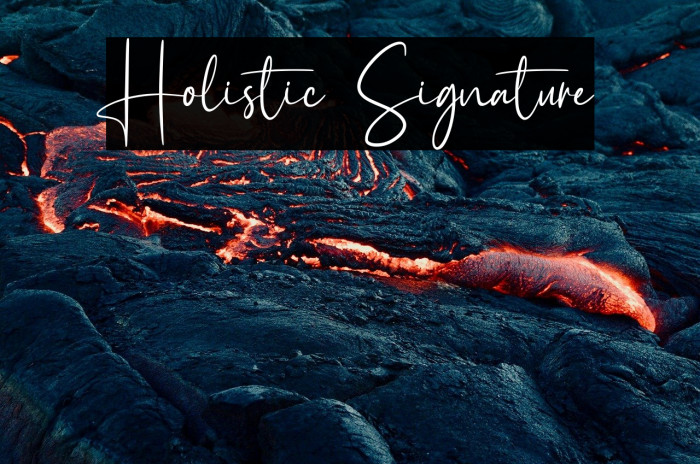 Holistic Signature Example 2