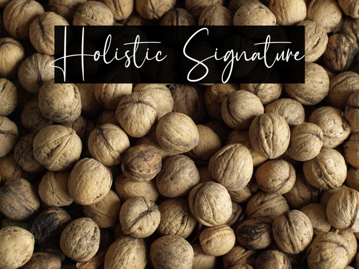 Holistic Signature Example 3