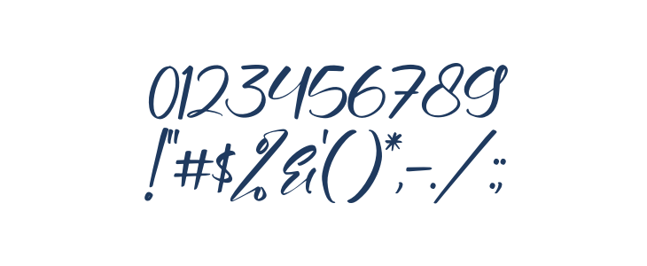 Holistica Italic Other Characters