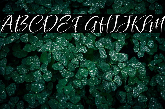 Holistica Italic Example 1