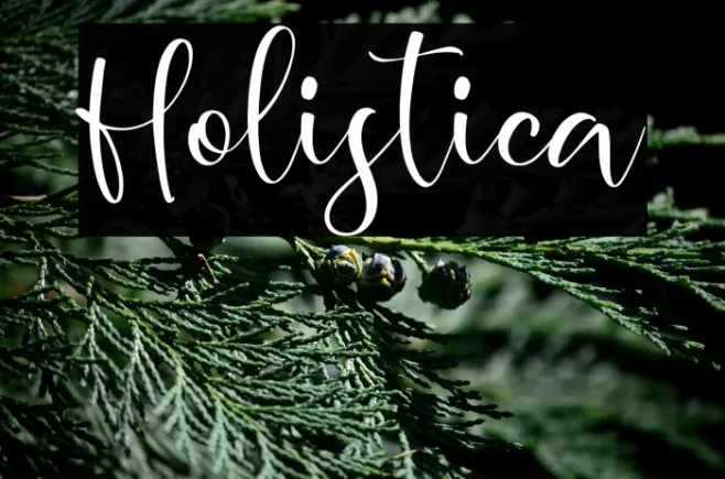 Holistica Example 2