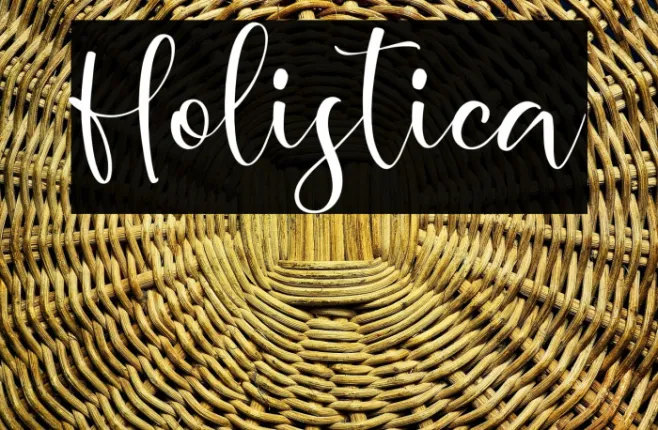 Holistica Example 3