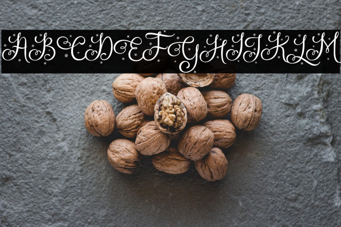 Holistya Snow Example 1