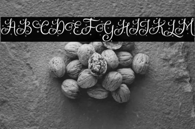 Holistya Snow Font examples