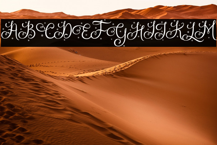 Holistya Snow Example 2