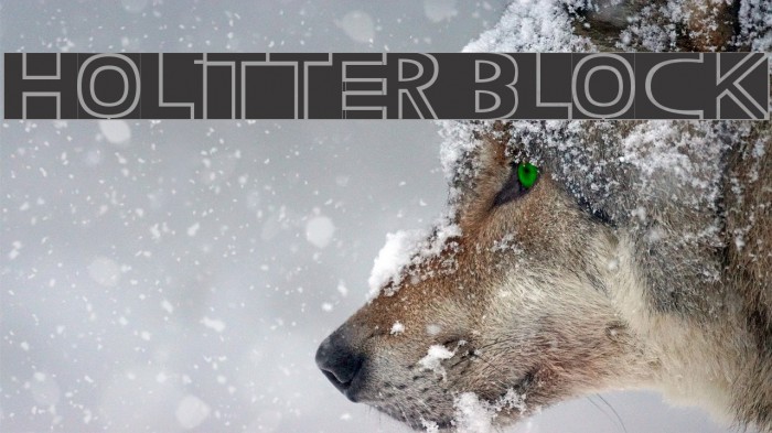 Holitter Block Font examples