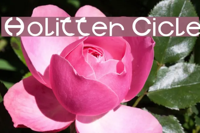 Holitter Cicle Example 2