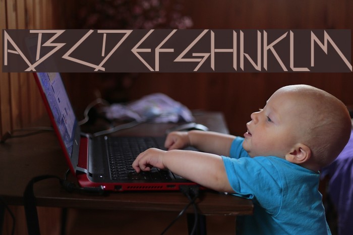 Holitter Forge Example 1