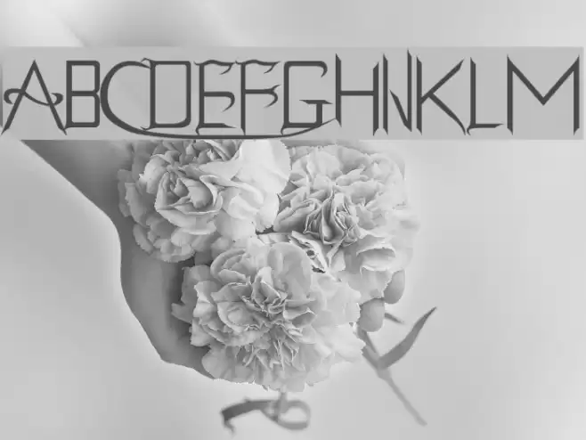 Holitter Gothic Font examples