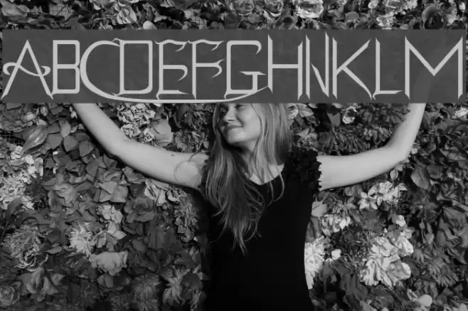 Holitter Gothic Font examples