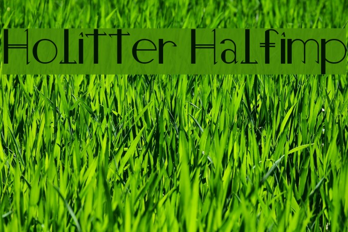 Holitter Halfimp Example 3