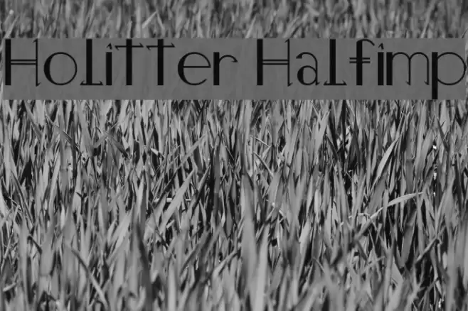 Holitter Halfimp Font examples