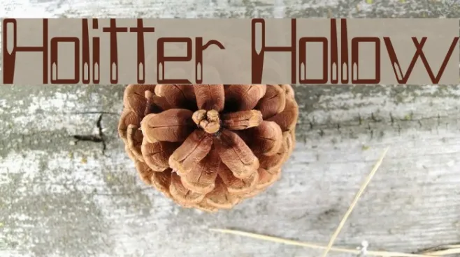 Holitter Hollow Example 1