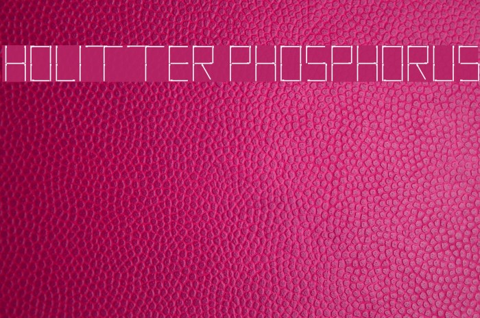 Holitter Phosphorus Example 1