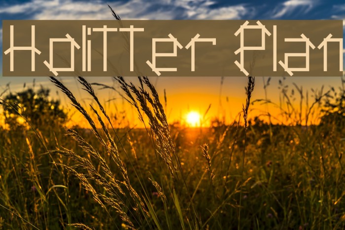 Holitter Plan Example 2