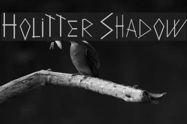Holitter Shadow Font examples