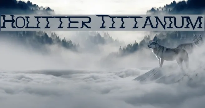 Holitter Tittanium Example 1