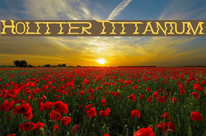 Holitter Tittanium Font examples