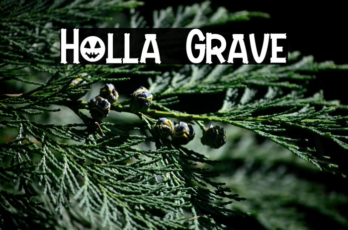 Holla Grave Example 3
