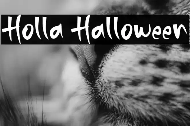 Holla Halloween Font examples