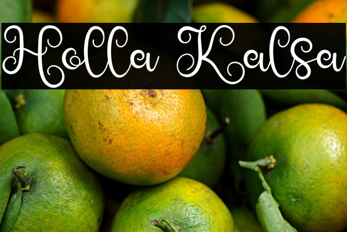 Holla Kalsa Example 1