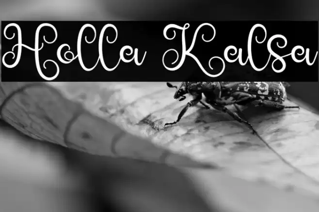 Holla Kalsa Schriftart examples