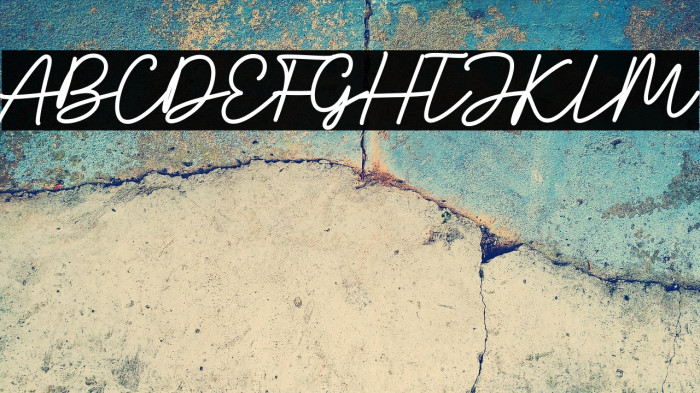 Holla Summer Demo Example 1