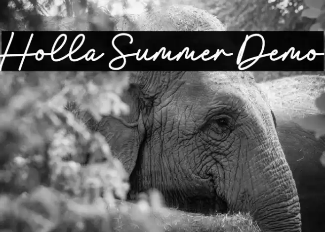 Holla Summer Demo Font examples