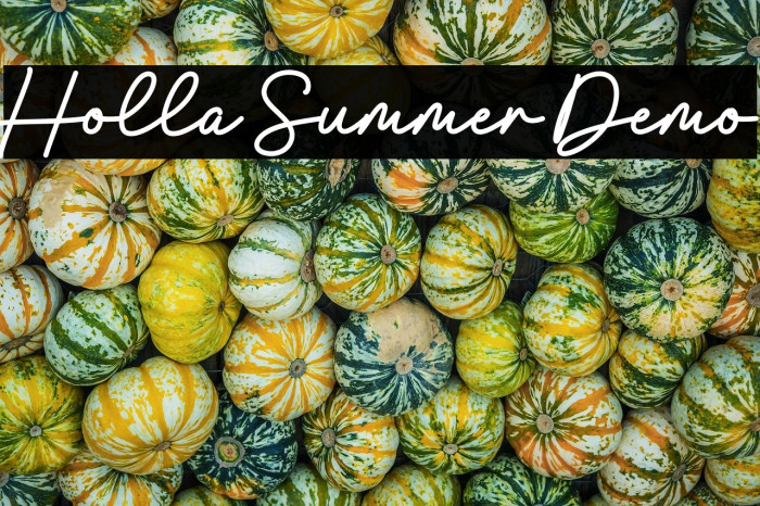 Holla Summer Demo Example 2