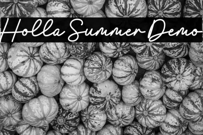 Holla Summer Demo Font examples